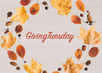 Read this GivingTuesday blog to learn more about the global charity initiative