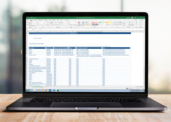 Download a free template of a data standards cheat sheet for your nonprofit CRM
